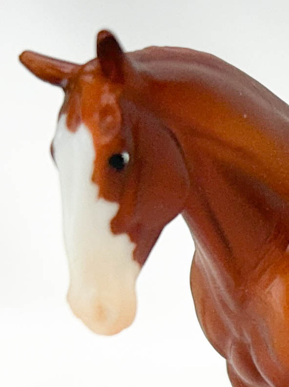 Irish Draft Horse, Chestnut Sabino Pinto - TSC blind bags