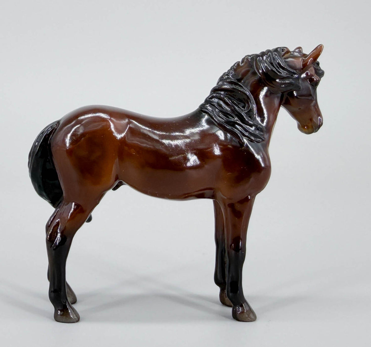 Kit ~ Wheeler - Breyerfest 2023