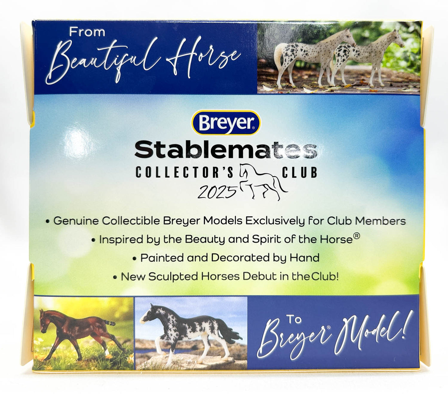 Lipizzaner Pegasus ~ Harbinger - 2025 SM Club