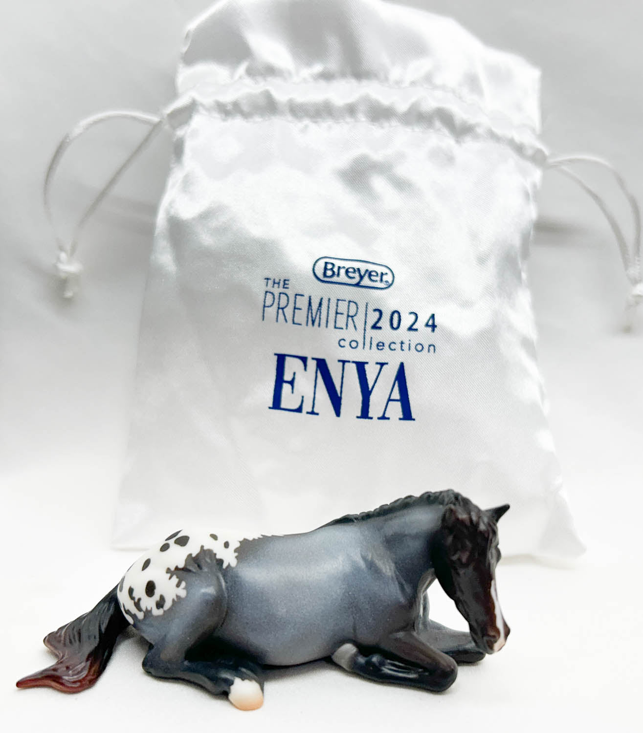 Lying Stock Horse ~ Enya - 2024 Premier Club