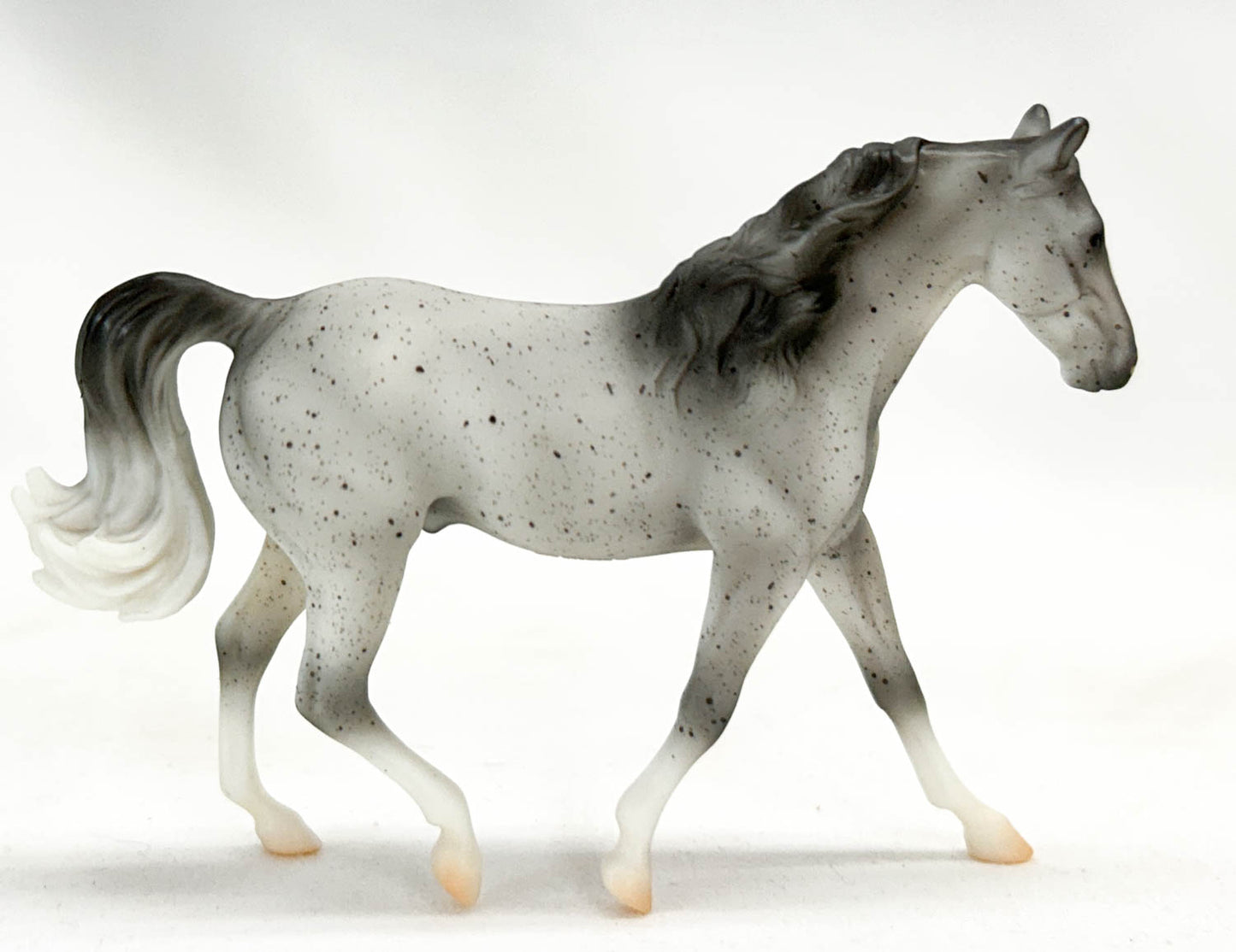 Missouri Fox Trotter, Fleabitten Grey - TSC blind bags