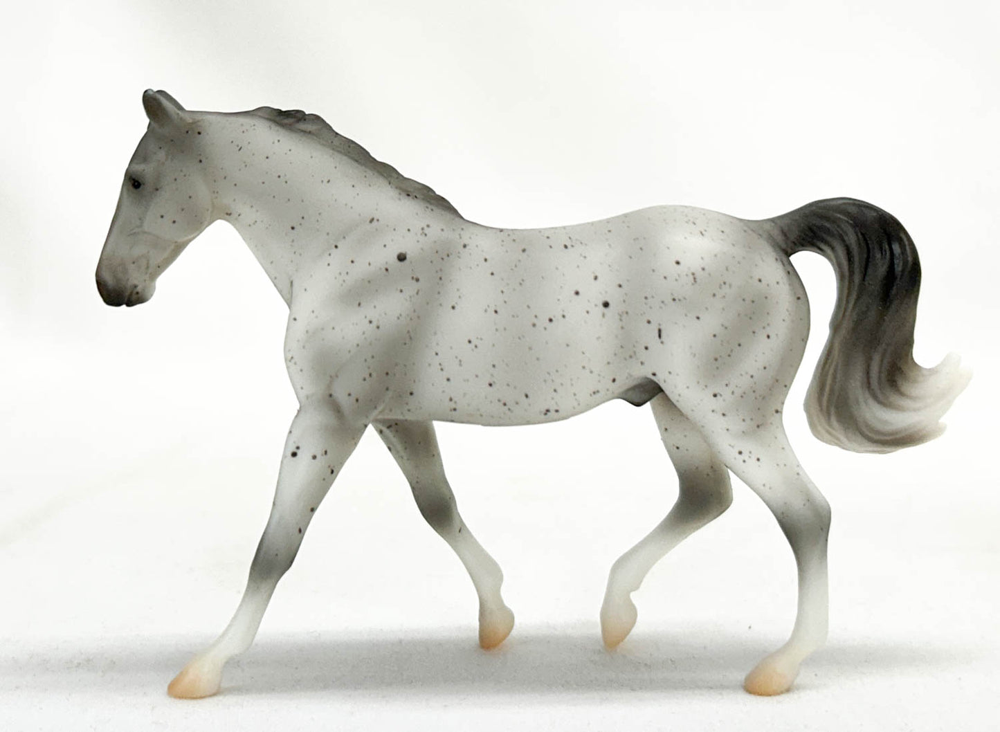 Missouri Fox Trotter, Fleabitten Grey - TSC blind bags