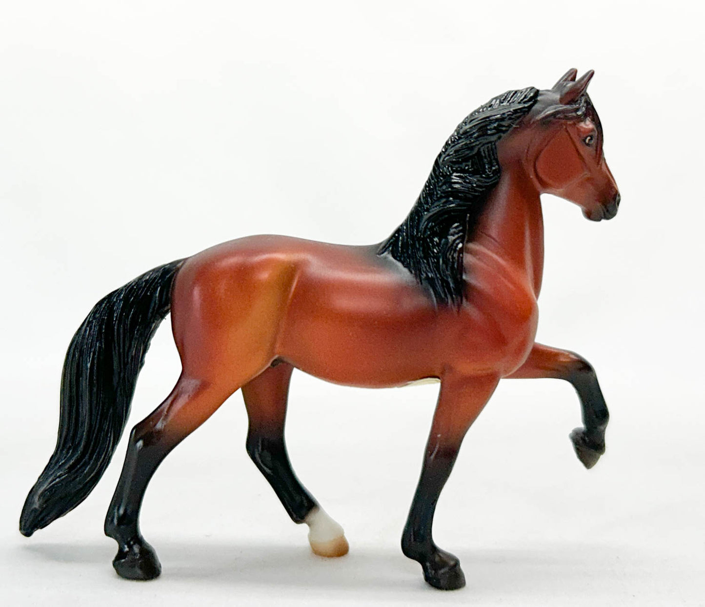 Peruvian Paso, Bay - JC Penney SR