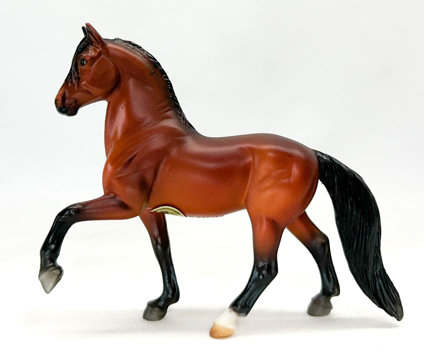Peruvian Paso, Bay - JC Penney SR