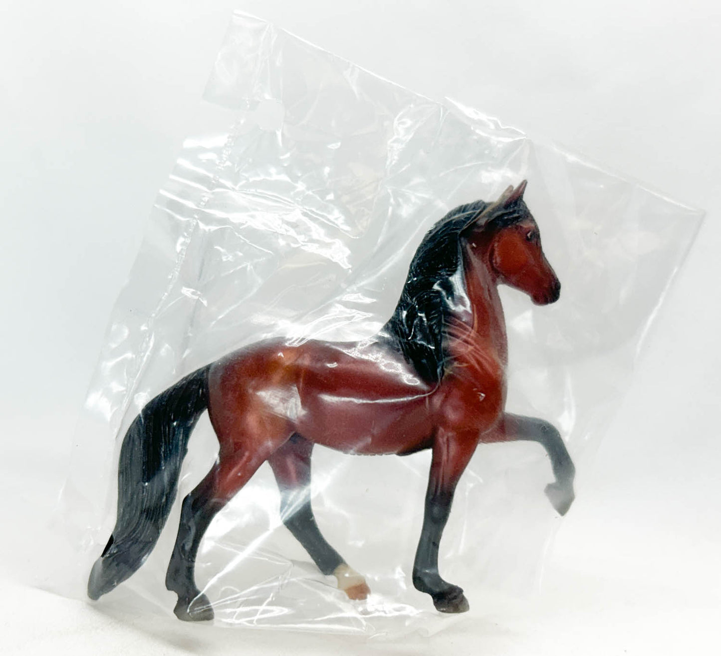 Peruvian Paso, Bay - JC Penney SR