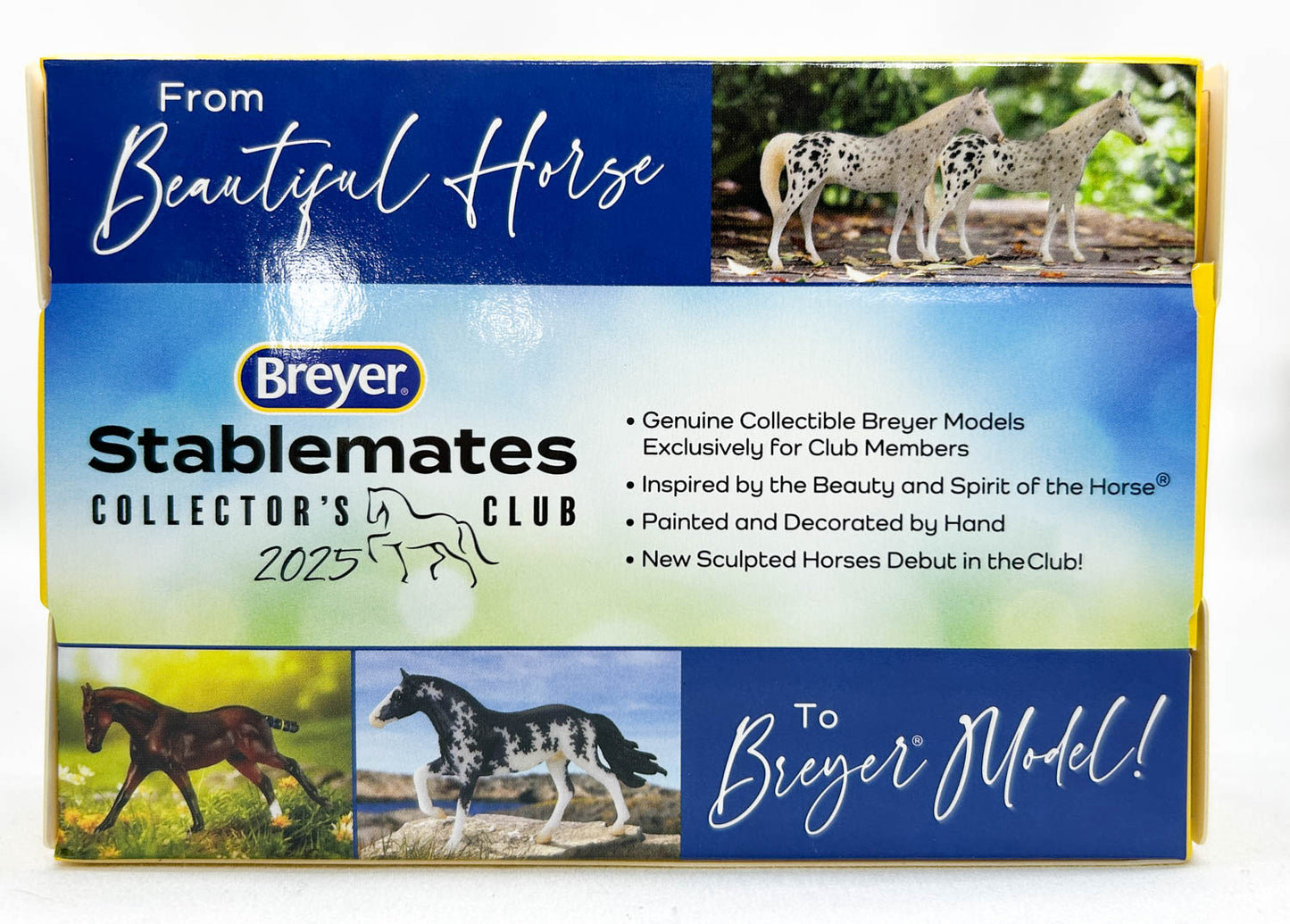 Proud Arabian Mare ~ Madonna - 2025 SM Club