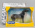 Mini Show-Stance Arabian Mare ~ Najwa - 2026 SM Club