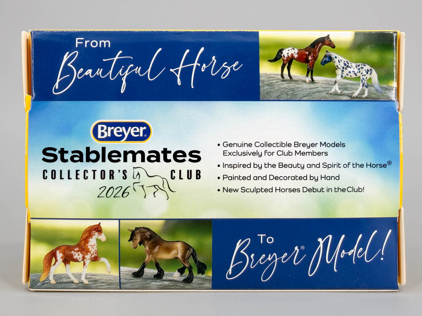 Mini Show-Stance Arabian Mare ~ Najwa - 2026 SM Club