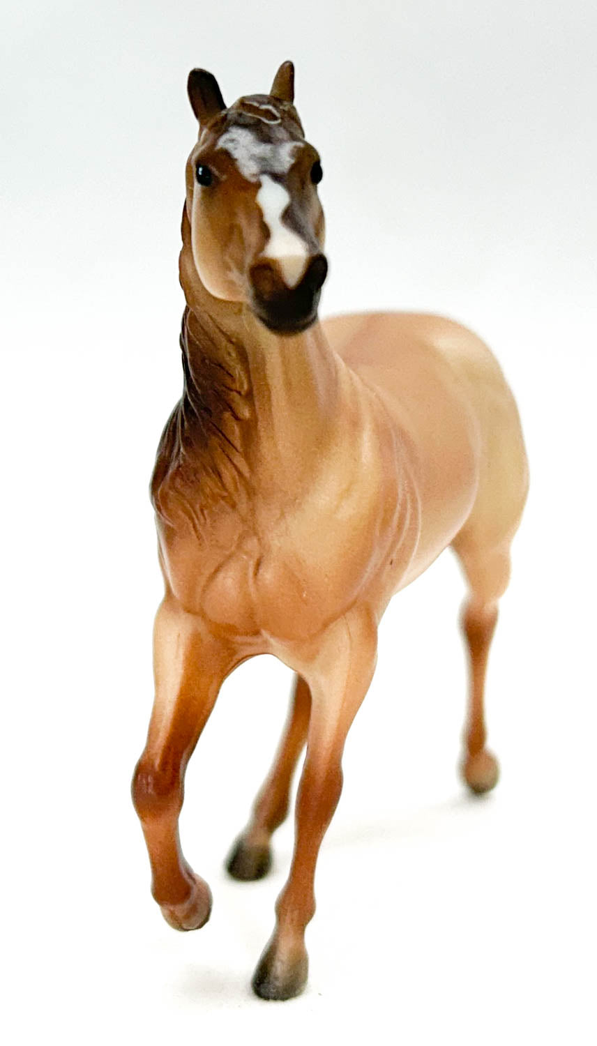 Smart Chic Olena, Red Dun - TSC blind bags