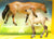 Stock Horse Mare and Standing Foal ~ Hadley and Holden