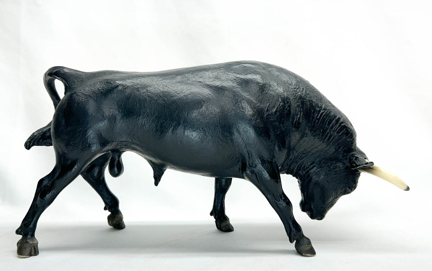 Spanish Fighting Bull, Black