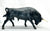 Spanish Fighting Bull, Black