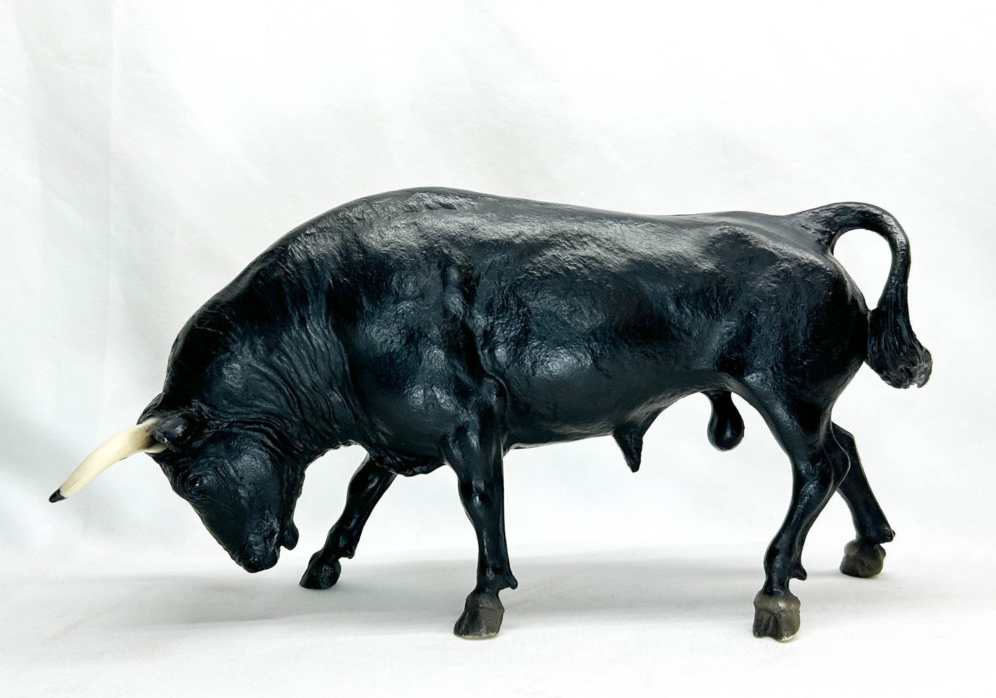 Spanish Fighting Bull, Black