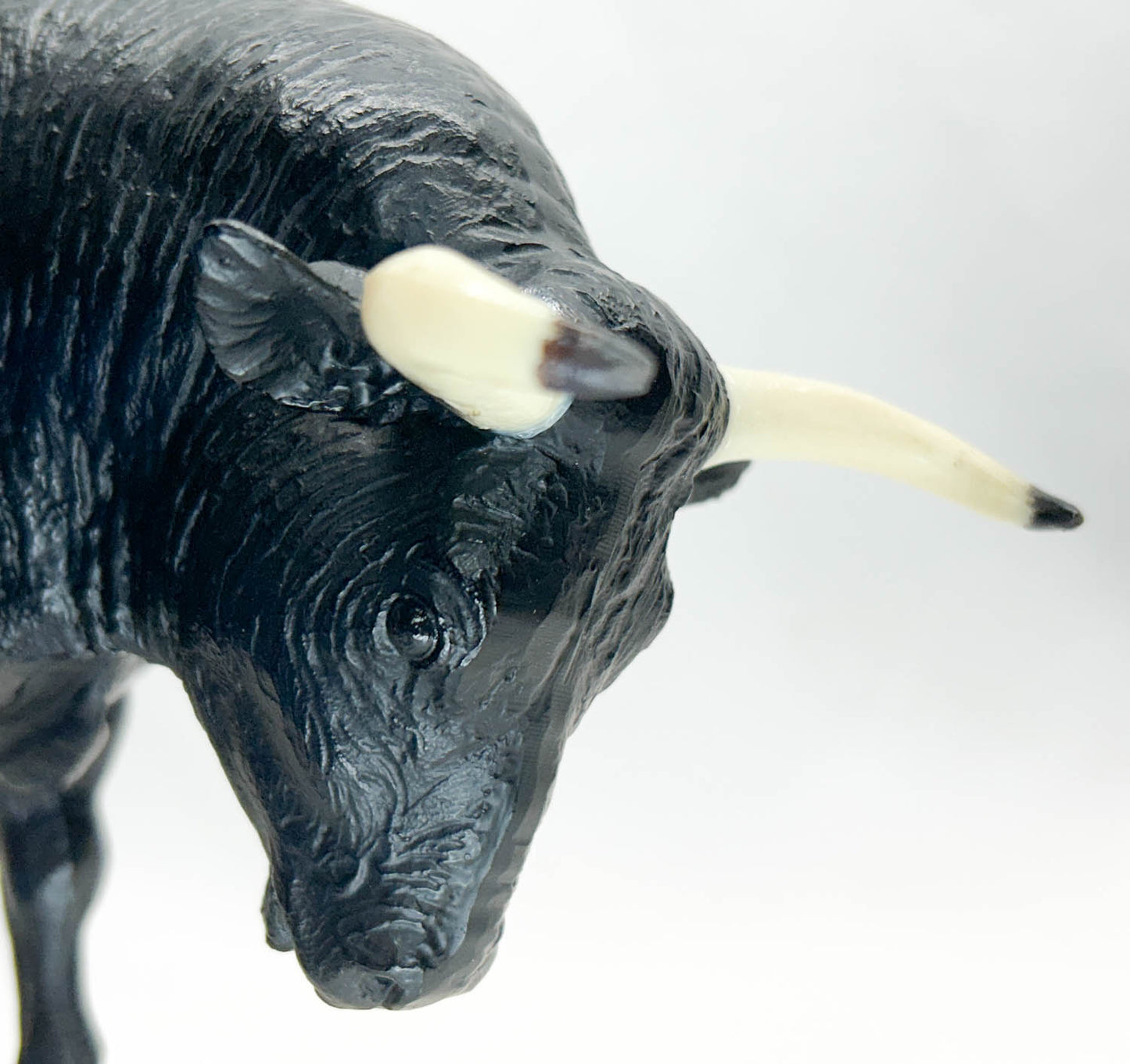 Spanish Fighting Bull, Black