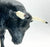Spanish Fighting Bull, Black