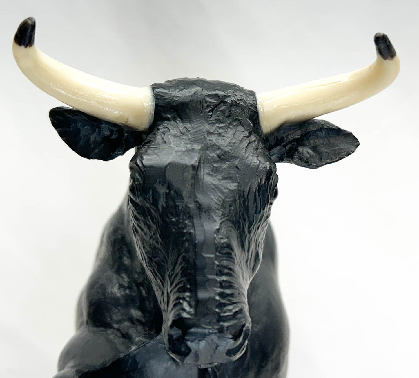 Spanish Fighting Bull, Black