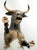 Spanish Fighting Bull ~ Magnifico - 2004 BreyerFest SR