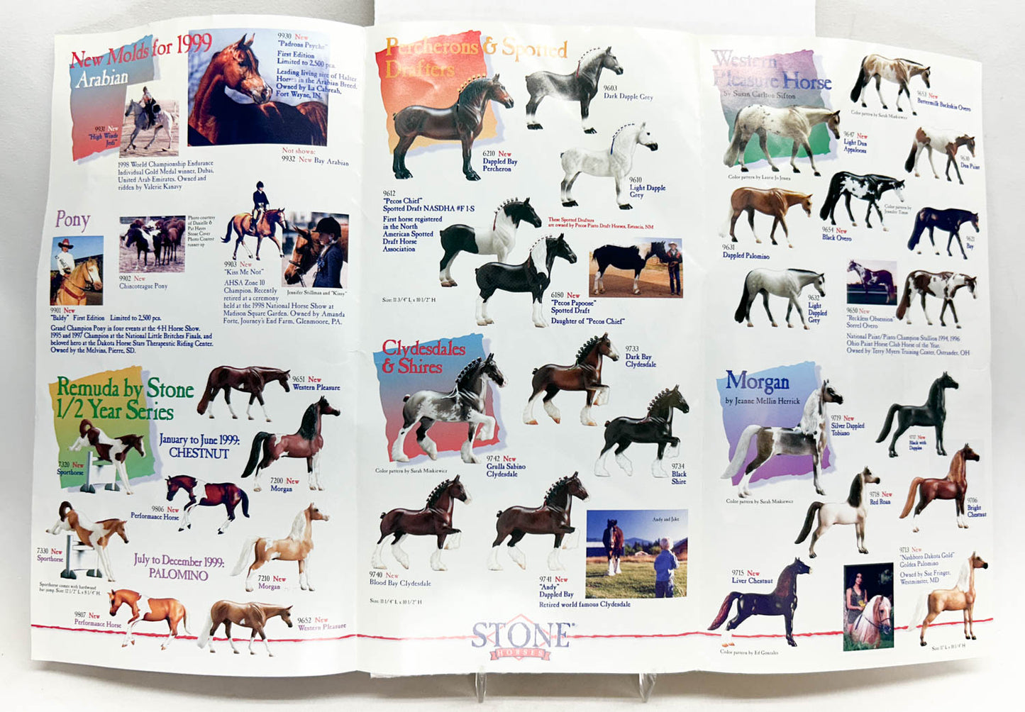 1999 Stone Horses Brochure