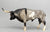 Texas Longhorn Bull ~ Mesquite - Breyerfest 2001 SR