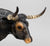 Texas Longhorn Bull ~ Mesquite - Breyerfest 2001 SR