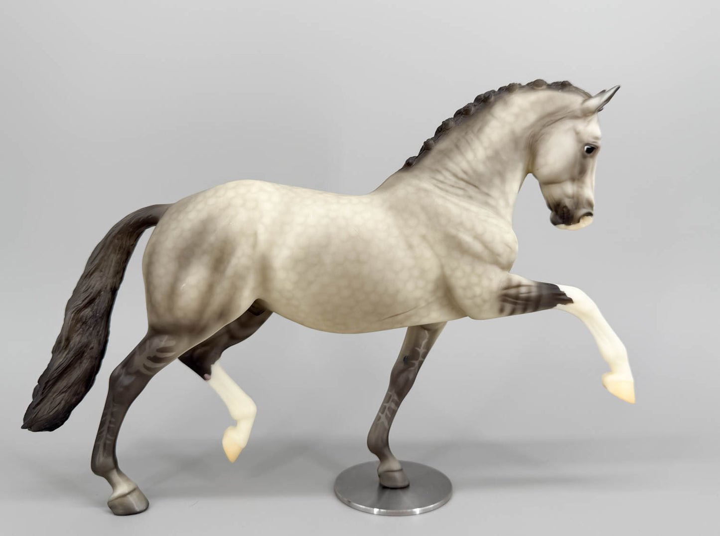 Totilas ~ Fabien - 2015 Web Special - with Steel Base