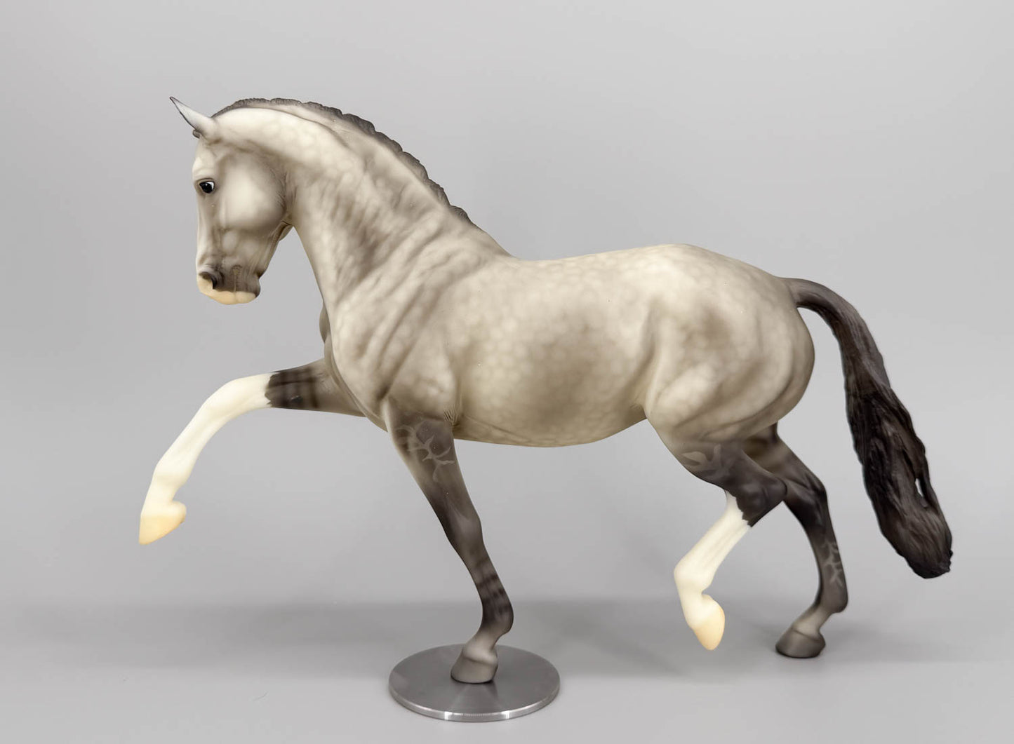 Totilas ~ Fabien - 2015 Web Special - with Steel Base