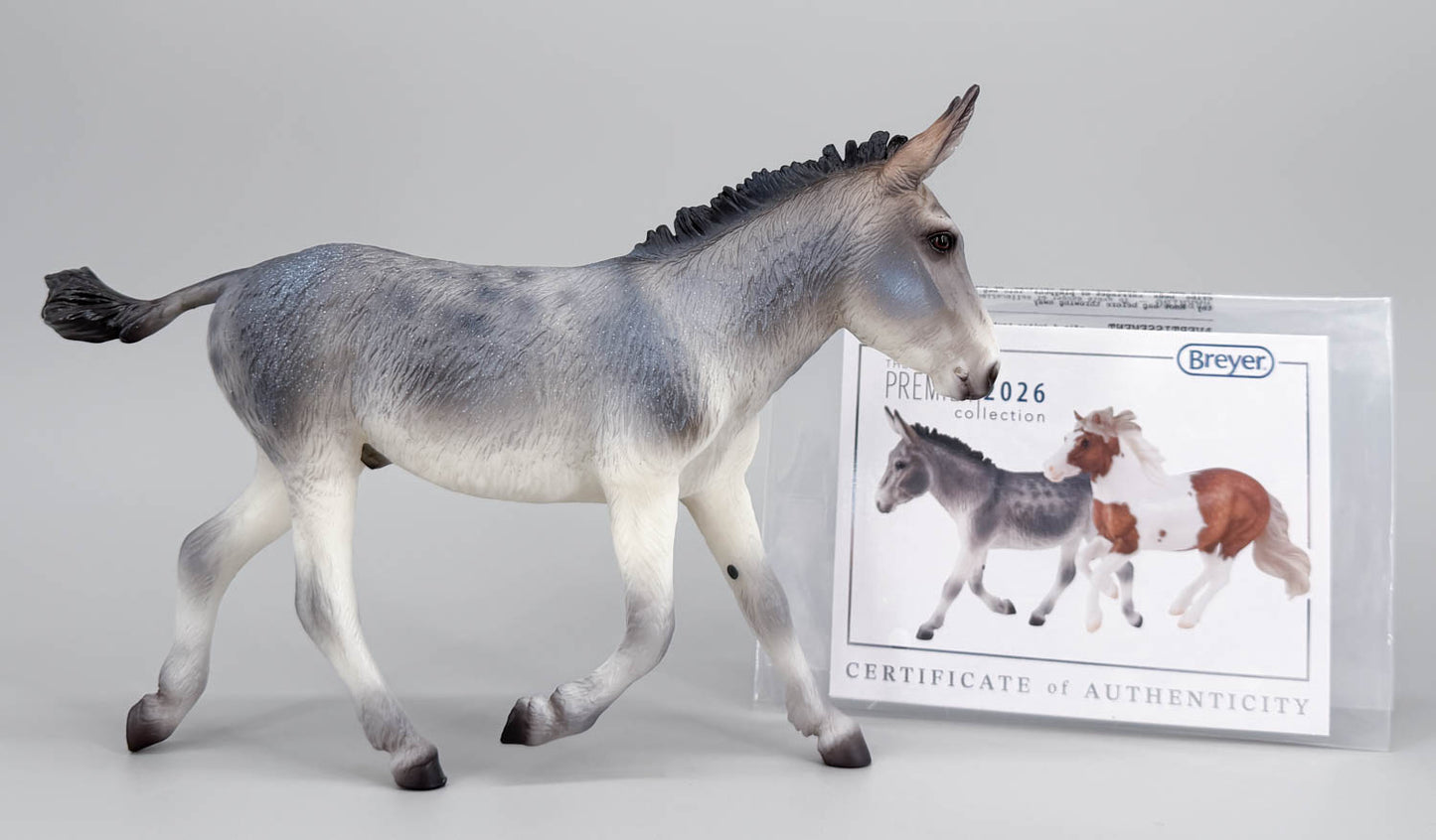 Trotting Donkey ~ Flapjack - 2026 Premier Club