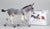 Trotting Donkey ~ Flapjack - 2026 Premier Club