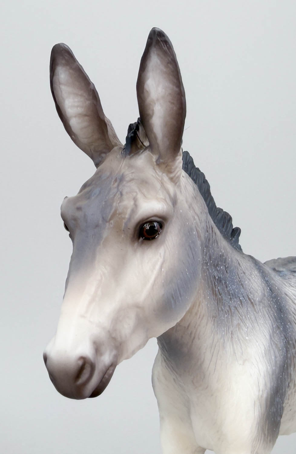 Trotting Donkey ~ Flapjack - 2026 Premier Club