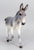Trotting Donkey ~ Flapjack - 2026 Premier Club