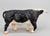 Walking Hereford ~ Buford - BreyerFest 2000 SR