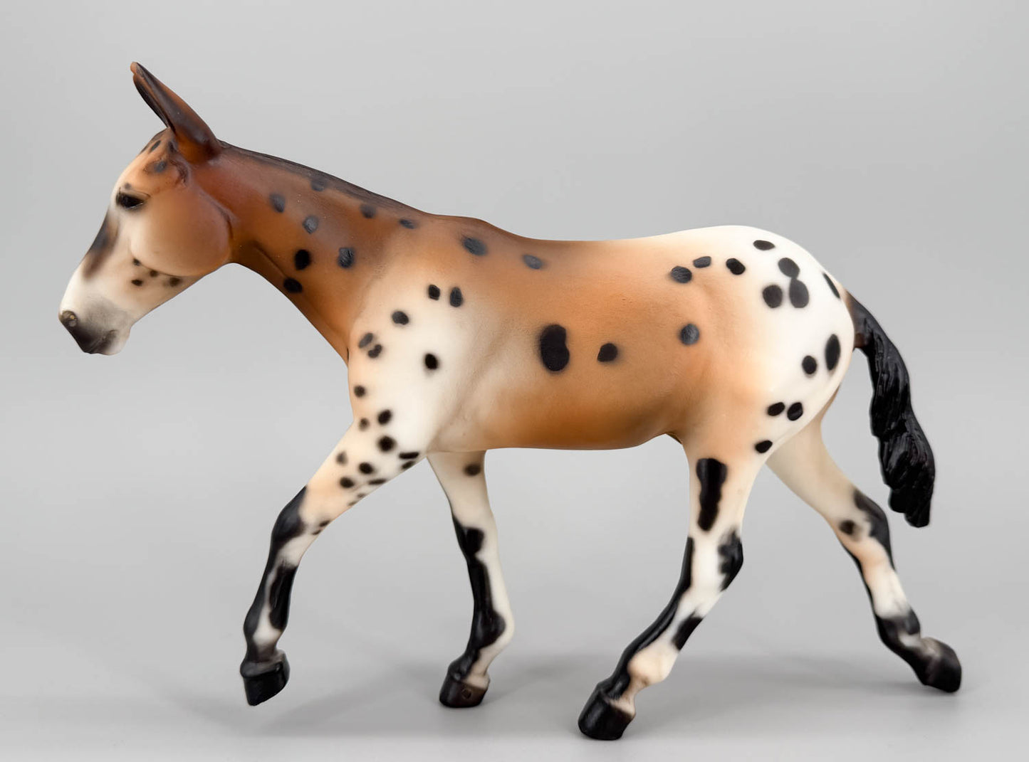 Walking Mule ~ Spotted Mule