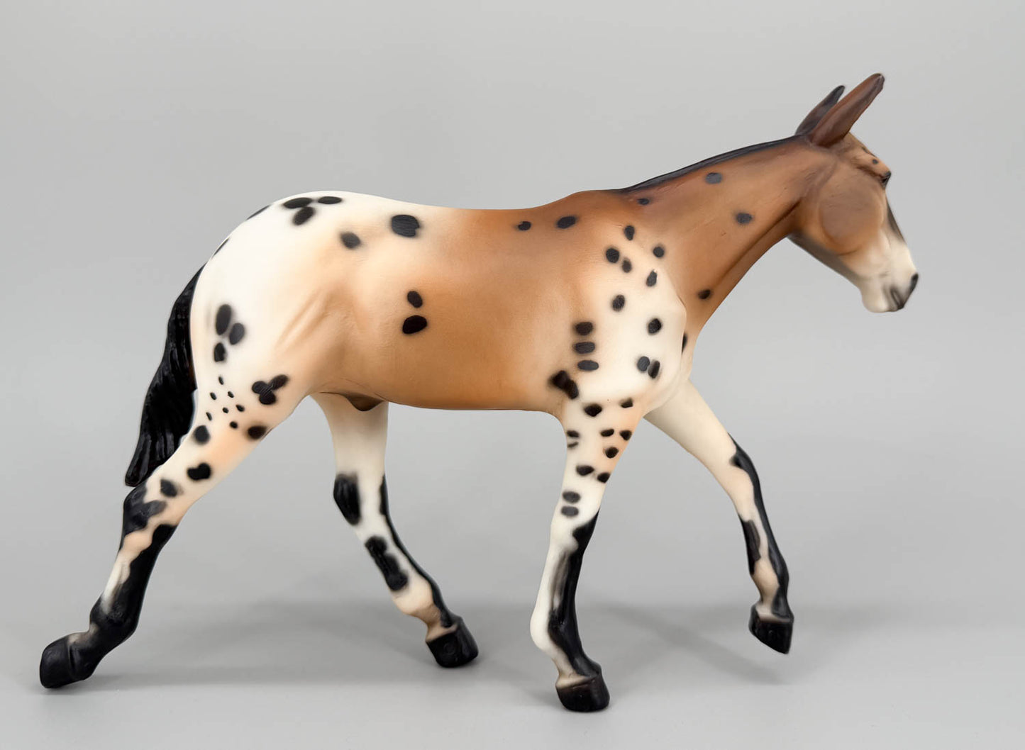 Walking Mule ~ Spotted Mule