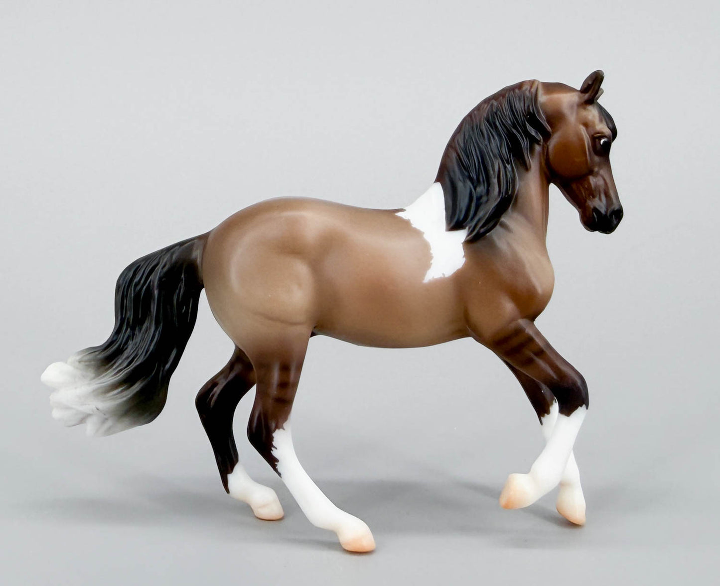 Cantering Morgan ~ Kattegat - Best of BreyerFest 2026