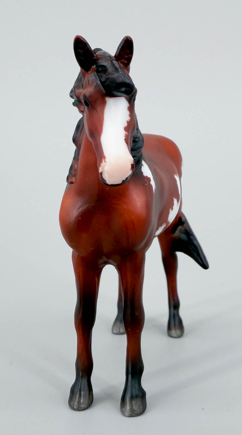 Kit ~ Stjärna - Best of BreyerFest 2026