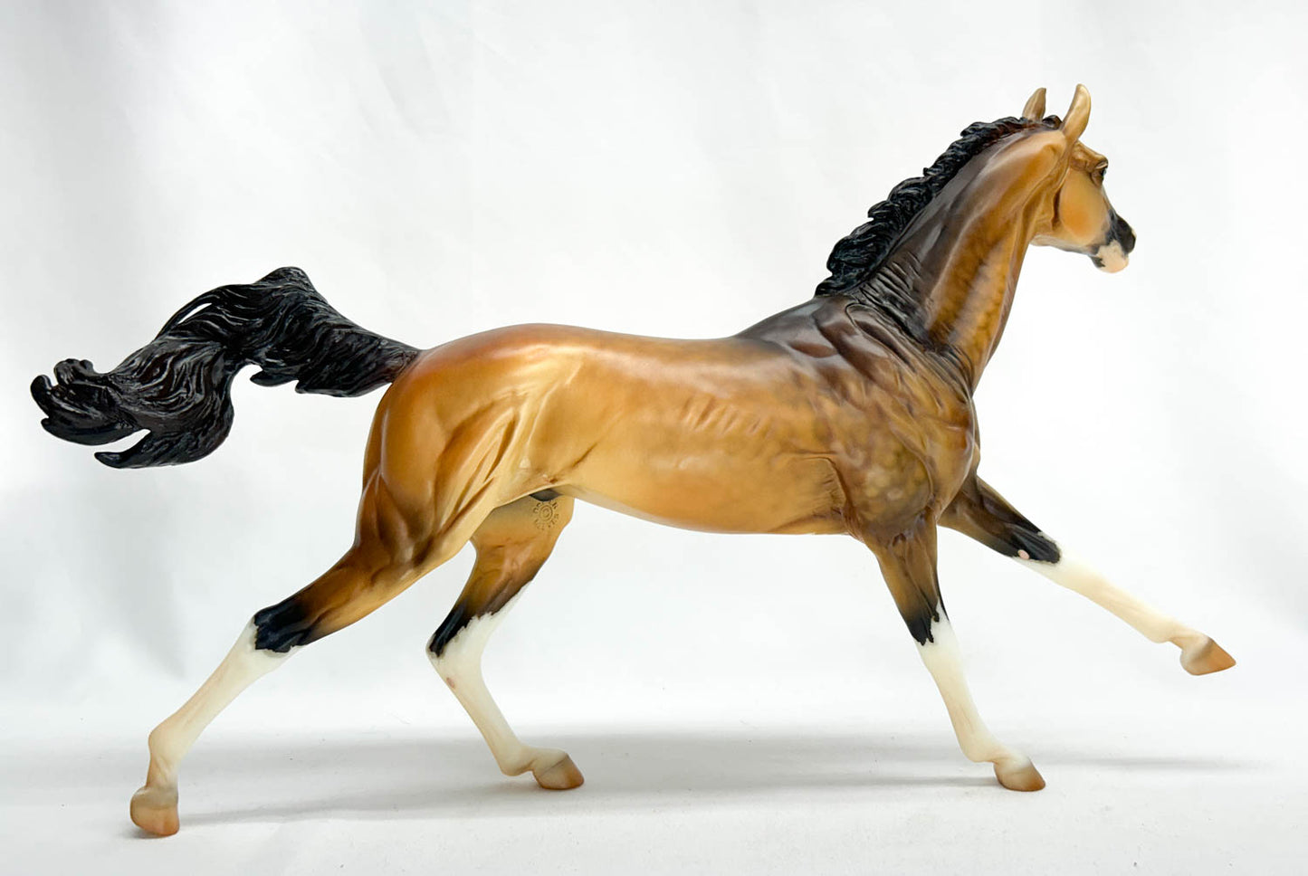 Akhal Teke ~ Altynai - Premiere Club 2020