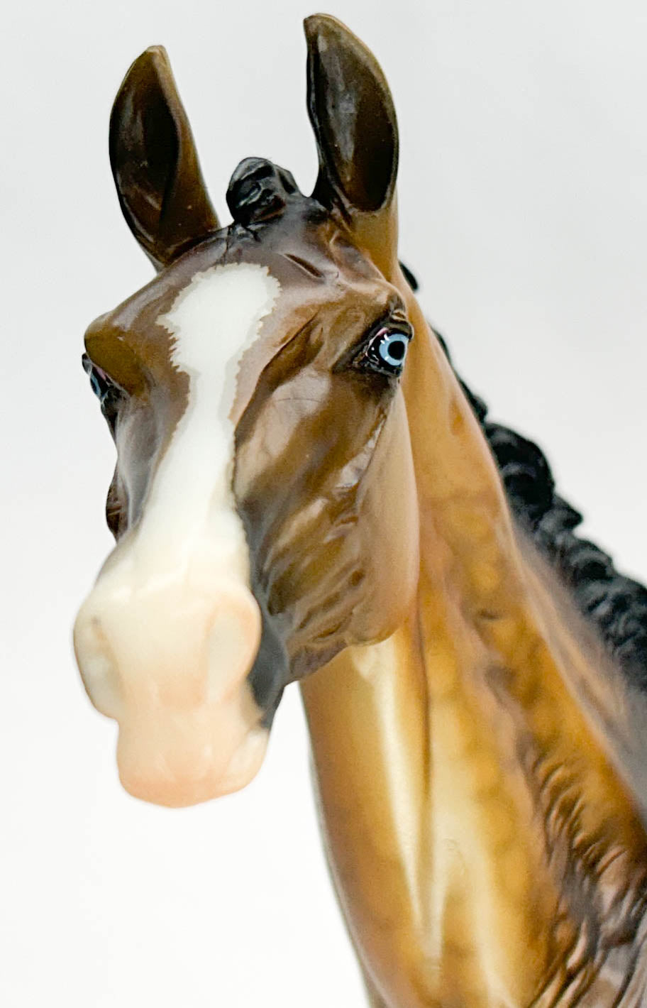 Akhal Teke ~ Altynai - Premiere Club 2020