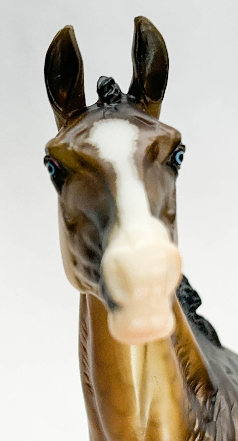 Akhal Teke ~ Altynai - Premiere Club 2020