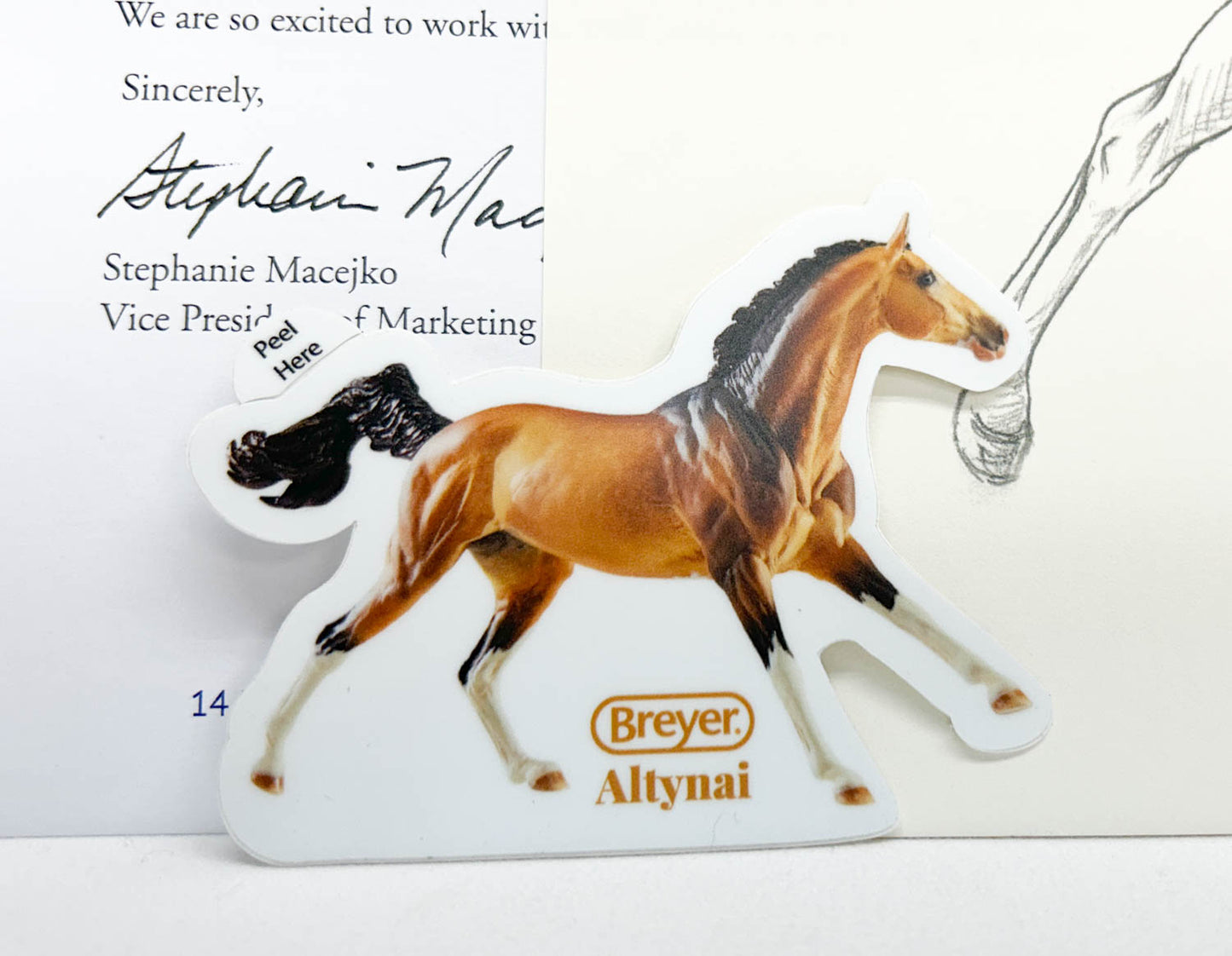 2020 Premier Club Paperwork, Including Altynai Sketch and Sticker