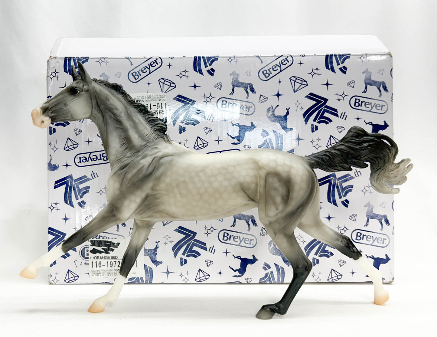 Akhal Teke ~ Maddox - Web Special