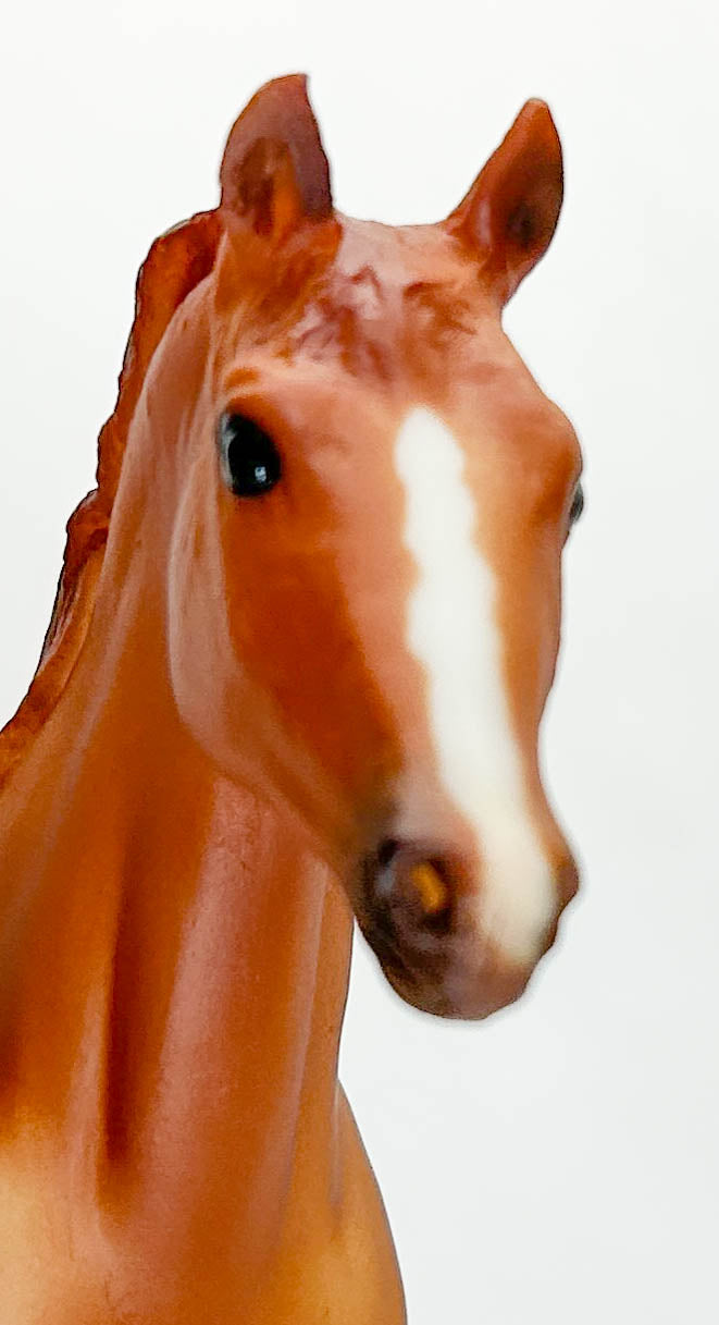 Kelso, Ruffian & Silky Sullivan ~ Ladies of the Bluegrass Set - QVC SR