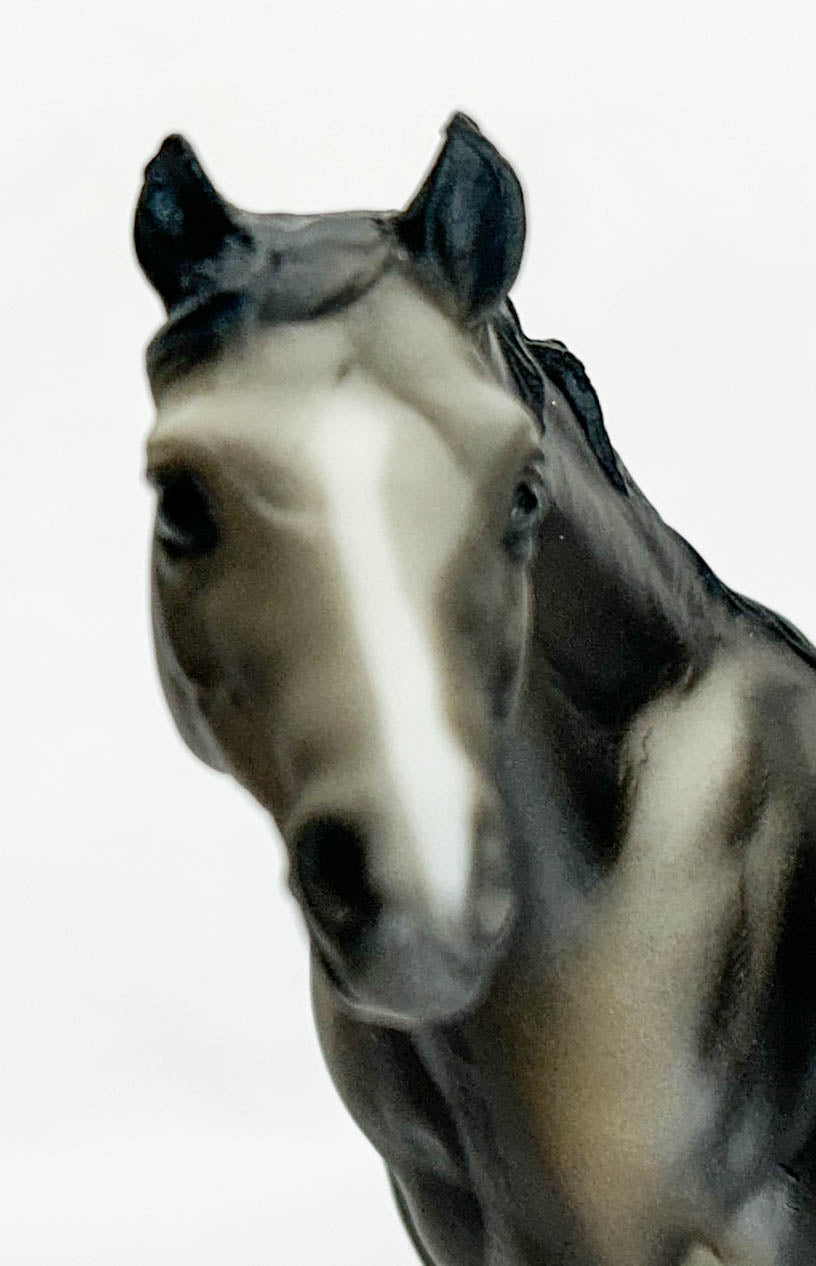 Kelso, Ruffian & Silky Sullivan ~ Ladies of the Bluegrass Set - QVC SR