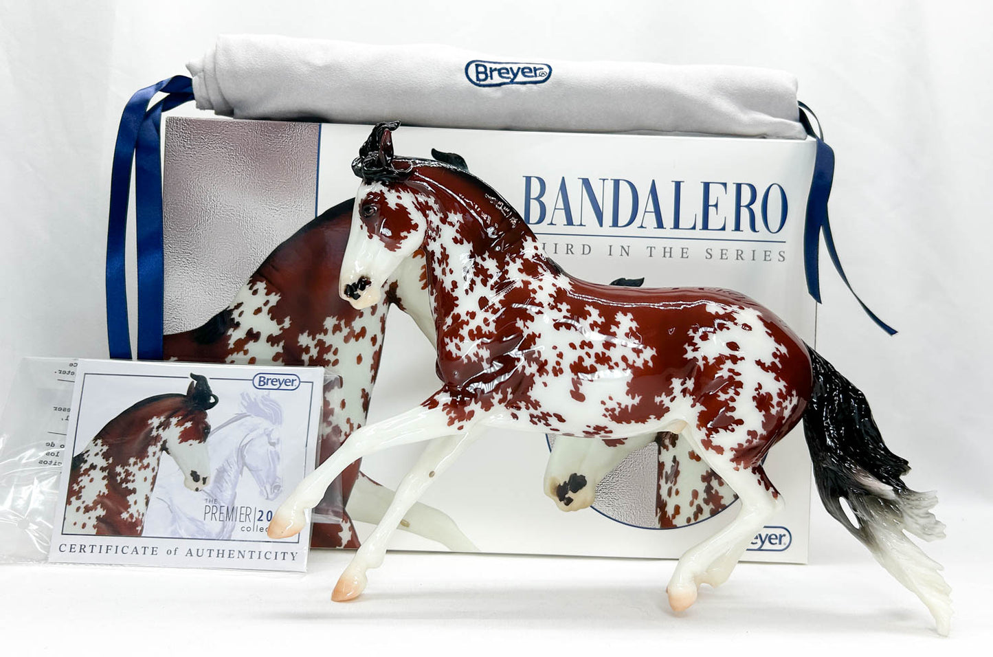 Criollo ~ Bandalero - 2024 Premier Club