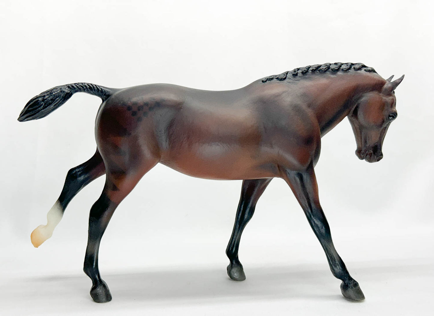 Cantering Welsh Pony ~ Hunter Show Pony with Quarter Marks