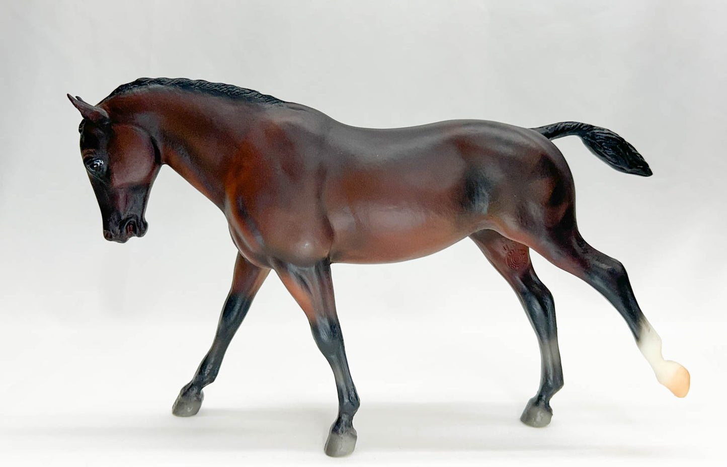 Cantering Welsh Pony ~ Hunter Show Pony with Quarter Marks