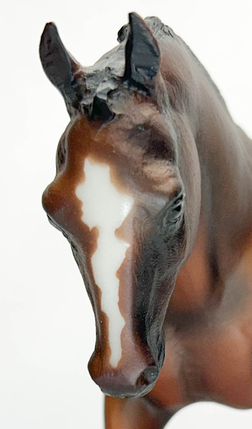 Cantering Welsh Pony ~ Hunter Show Pony with Quarter Marks