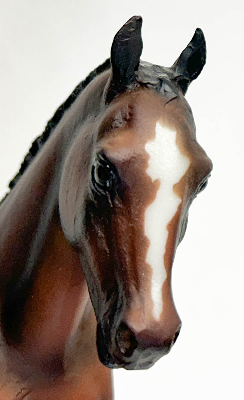 Cantering Welsh Pony ~ Hunter Show Pony with Quarter Marks