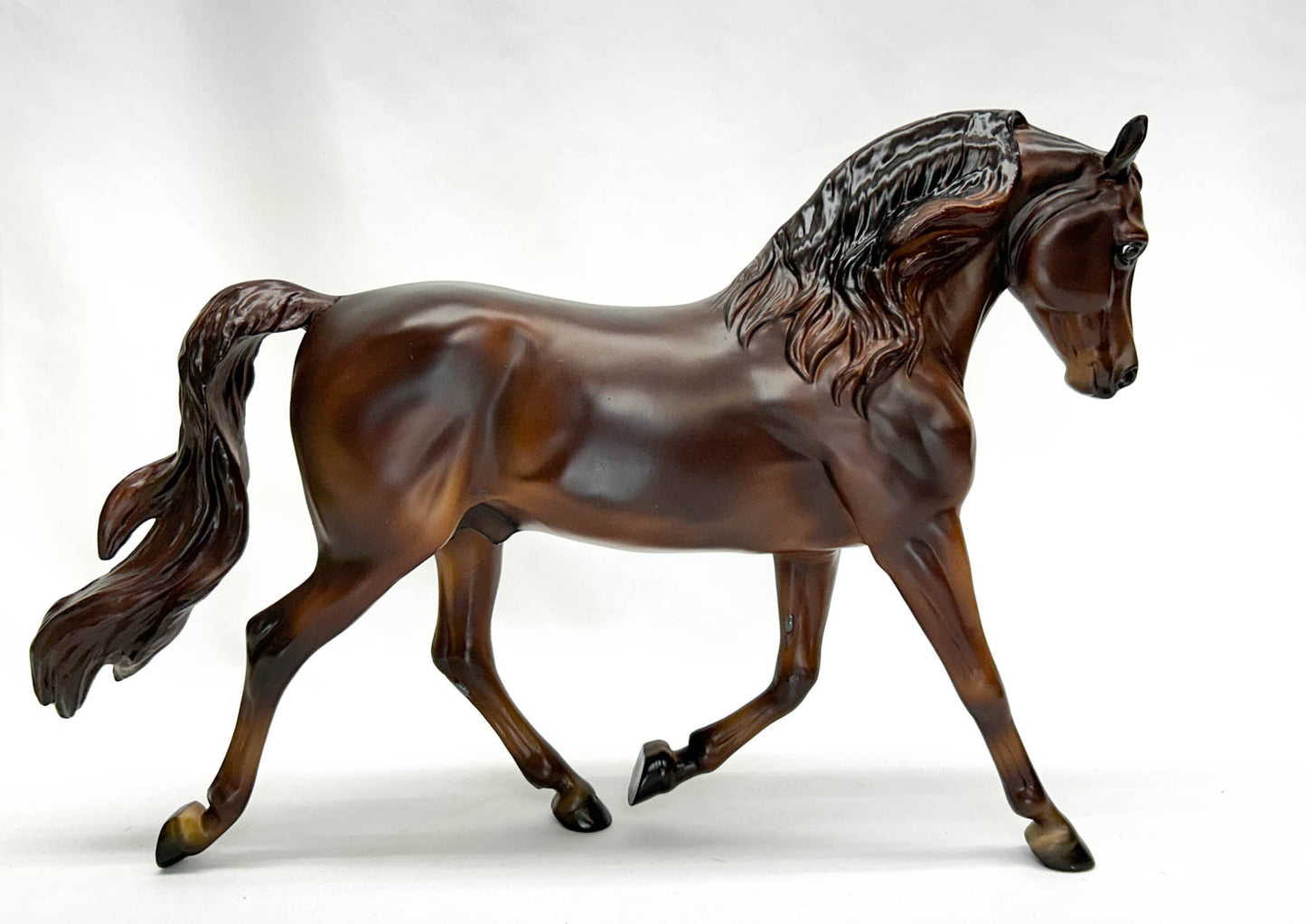 Foundation Morgan ~ MorganQuest Native Sun