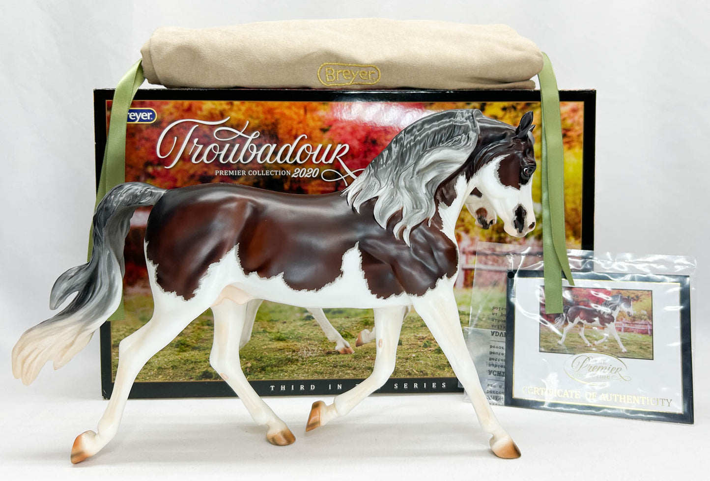 Foundation Morgan ~ Troubador - 2020 Premier Club