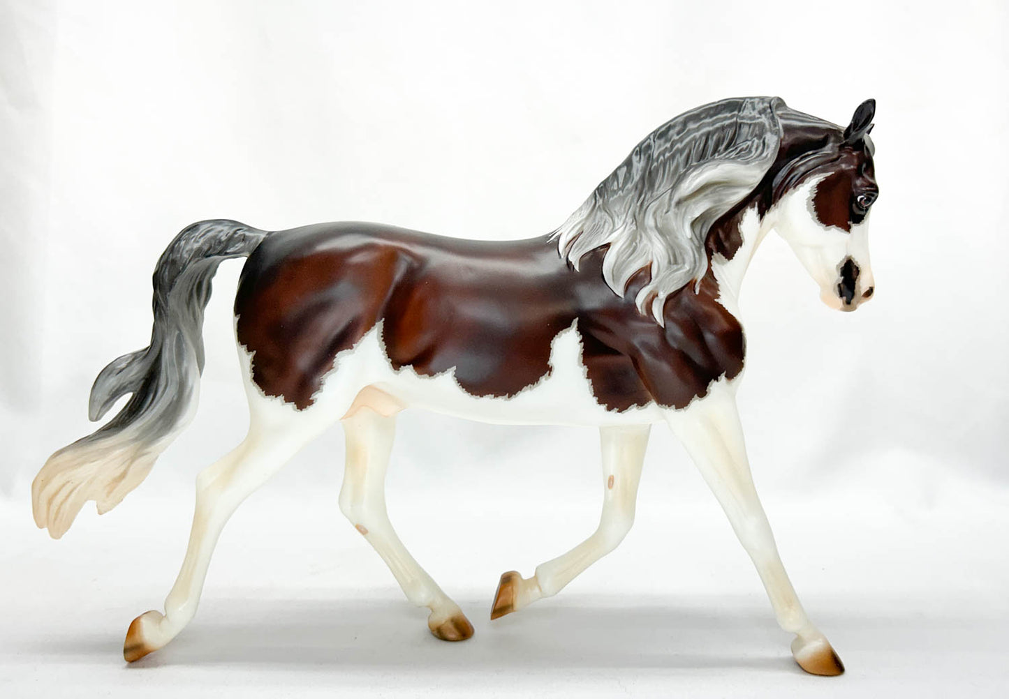 Foundation Morgan ~ Troubador - 2020 Premier Club